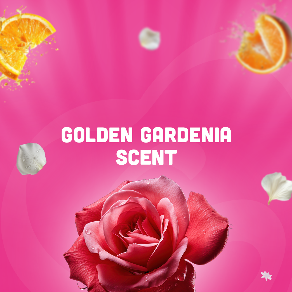 Double Trouble XL 2KG Bundle (1KG Golden Gardenia + 1KG Jasmine Breeze)