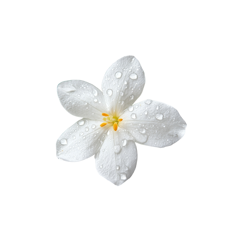 White Flower